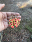 Monstera Clay Earrings