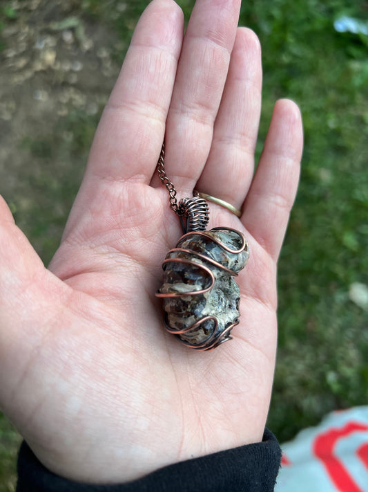 Ammonite Fossilized Necklace