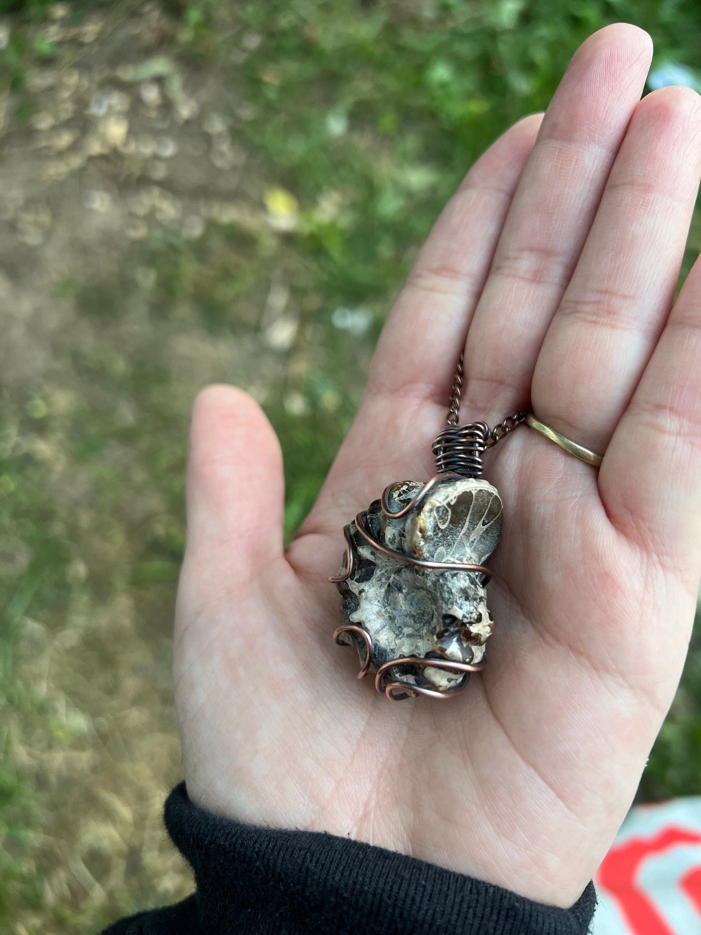 Ammonite Fossilized Necklace