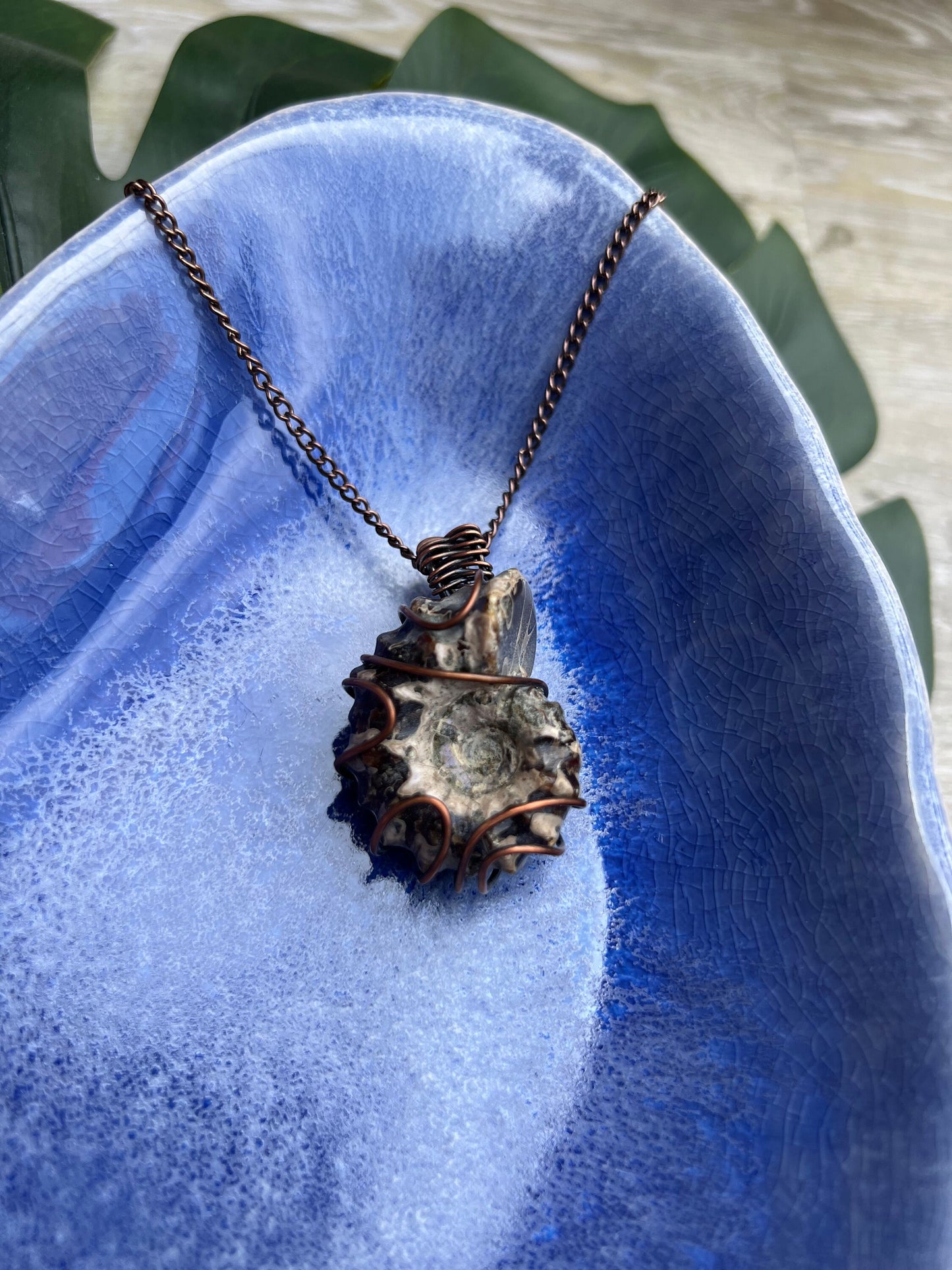 Ammonite Fossilized Necklace